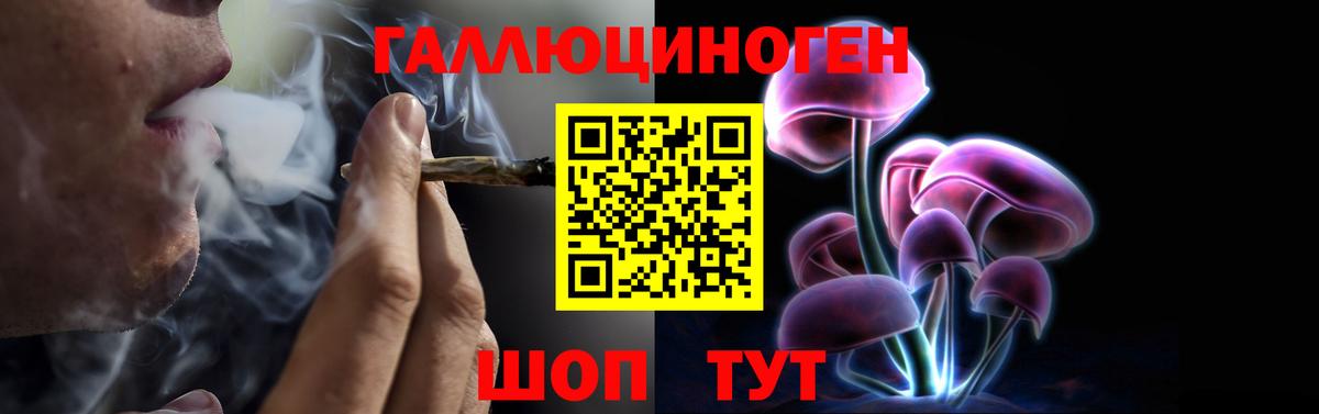Галлюциногенные грибы Magic Shrooms  Псилоцибиновые грибы мицелий  Каменка  Вход с VPN 